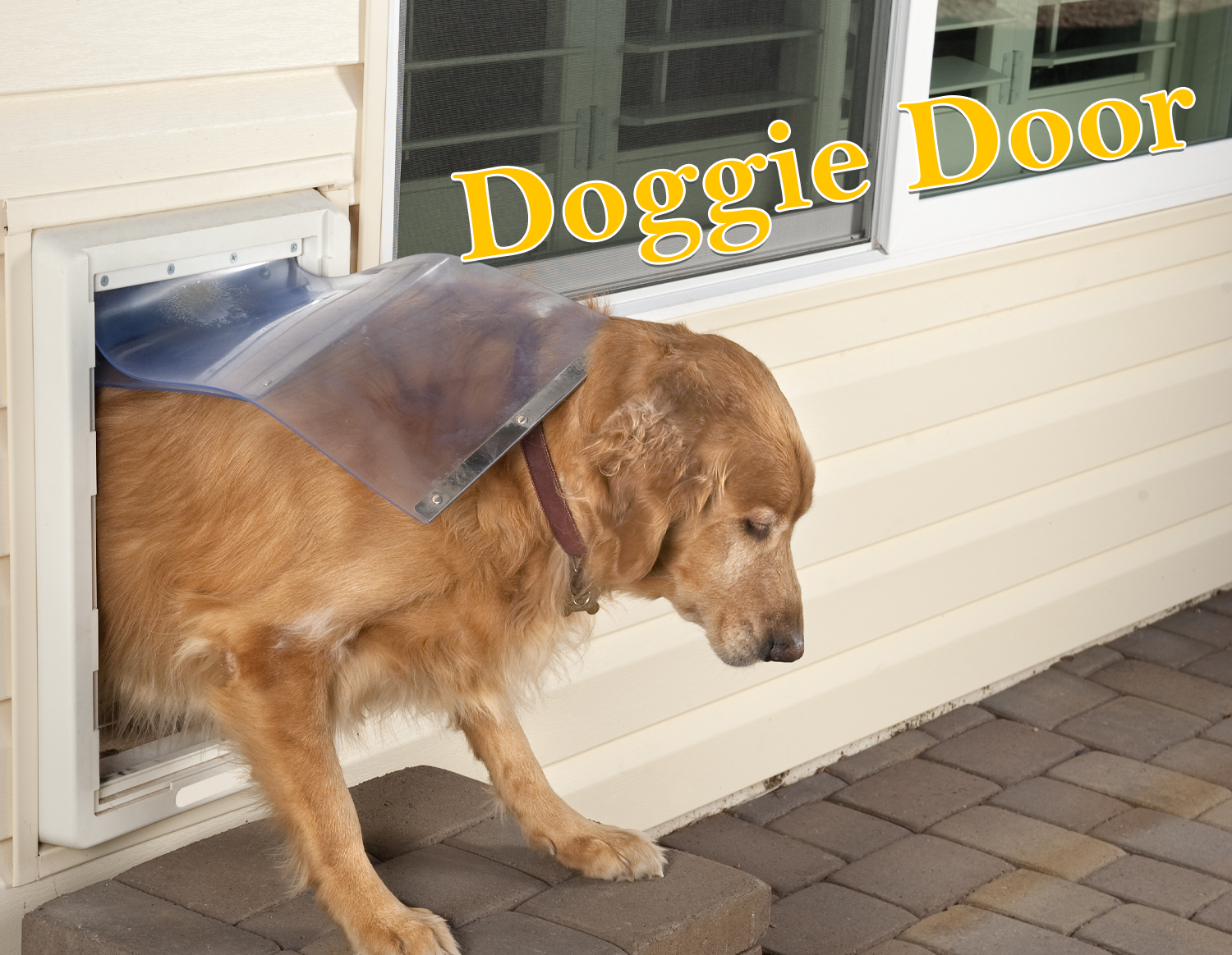 Doggie Door