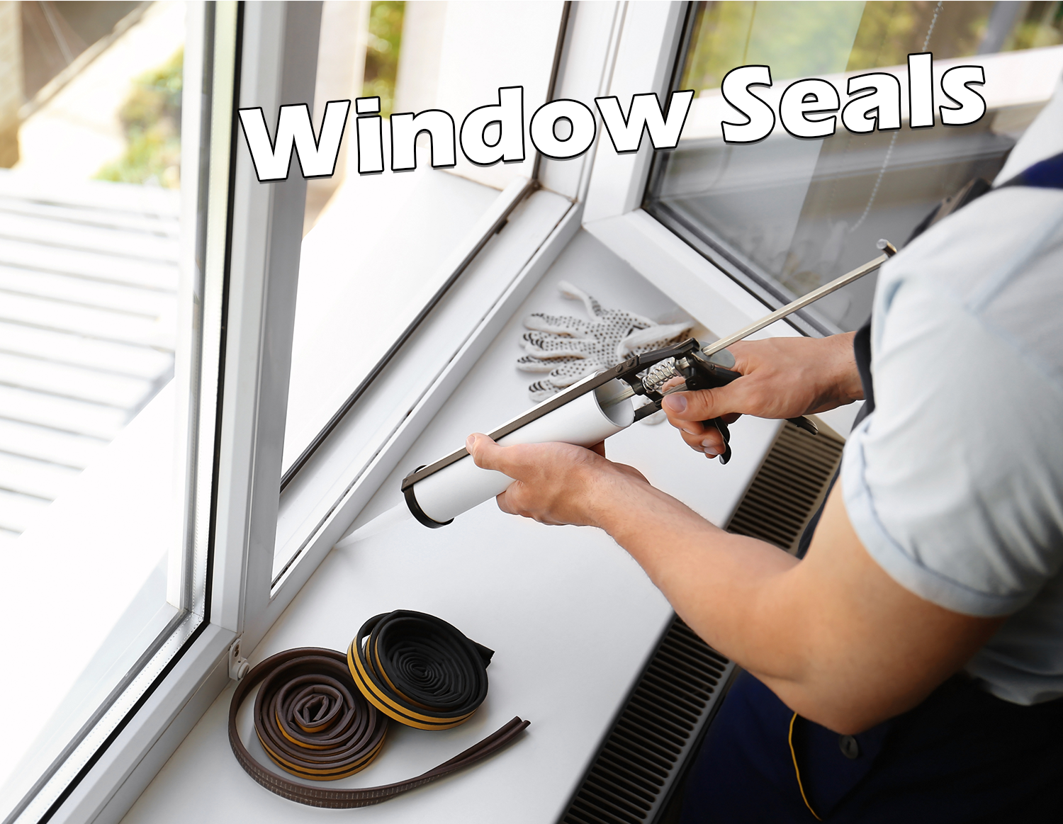 Window Seals